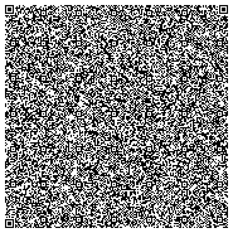 Ícone de QR-Server